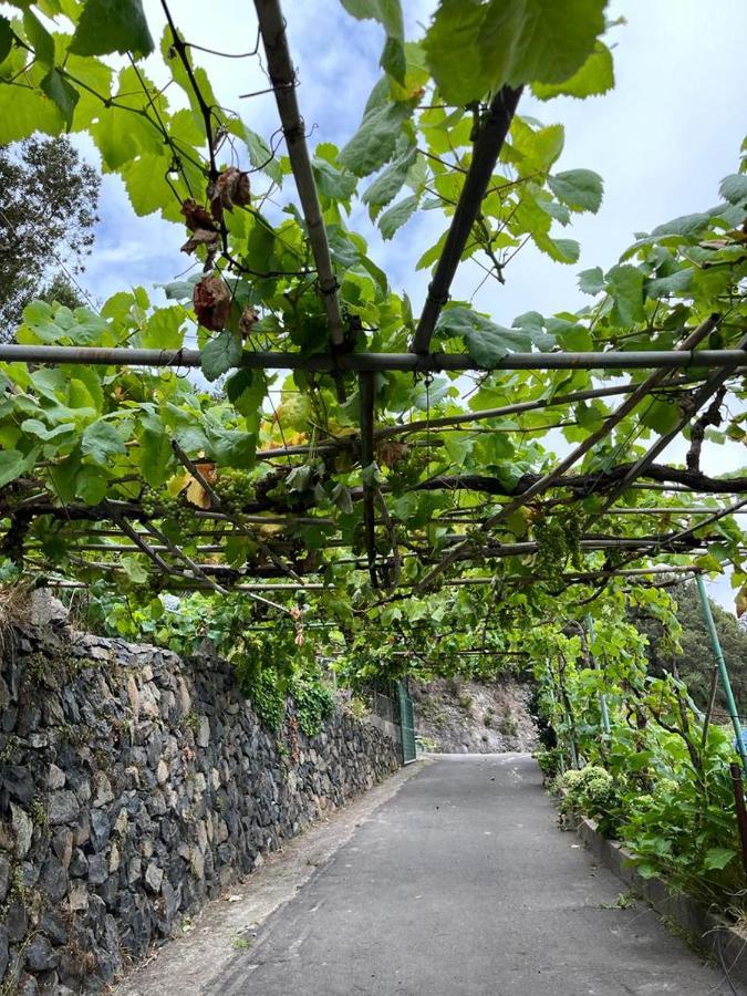 Casa Rural Quilla Agulo المظهر الخارجي الصورة