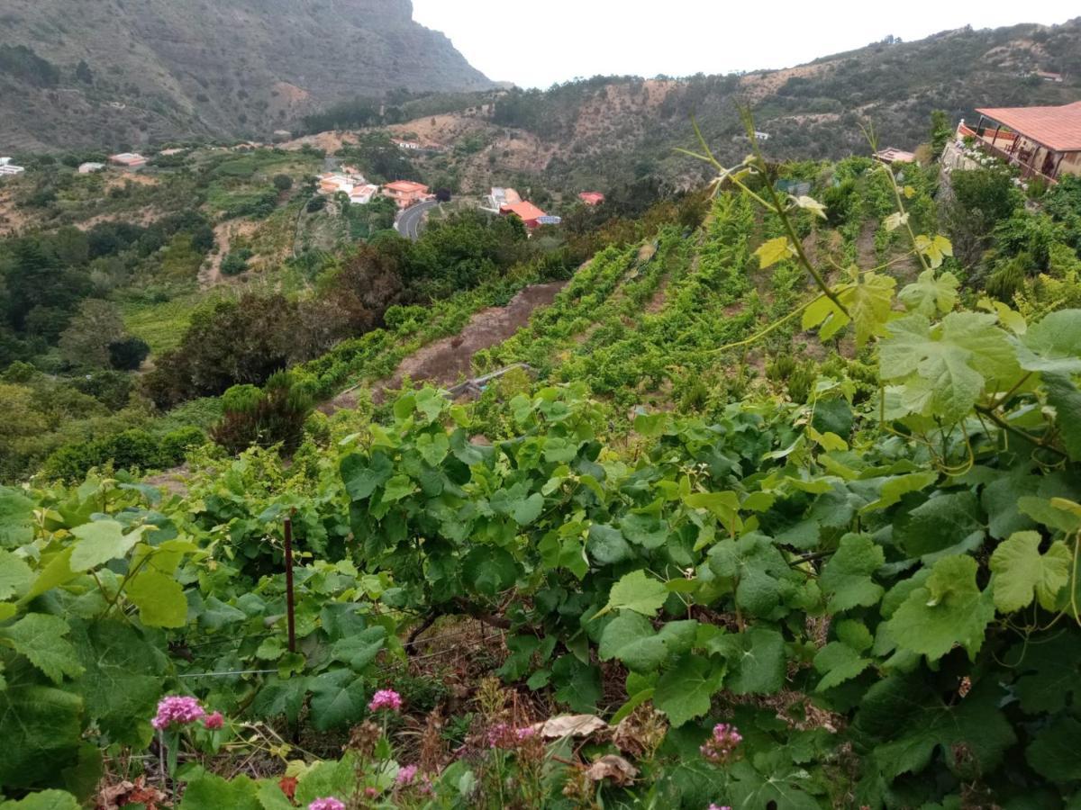 Casa Rural Quilla Agulo المظهر الخارجي الصورة